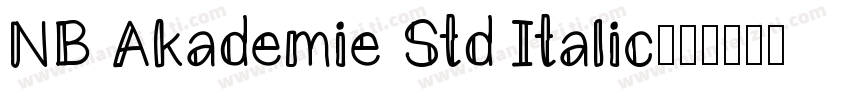 NB Akademie Std Italic字体转换